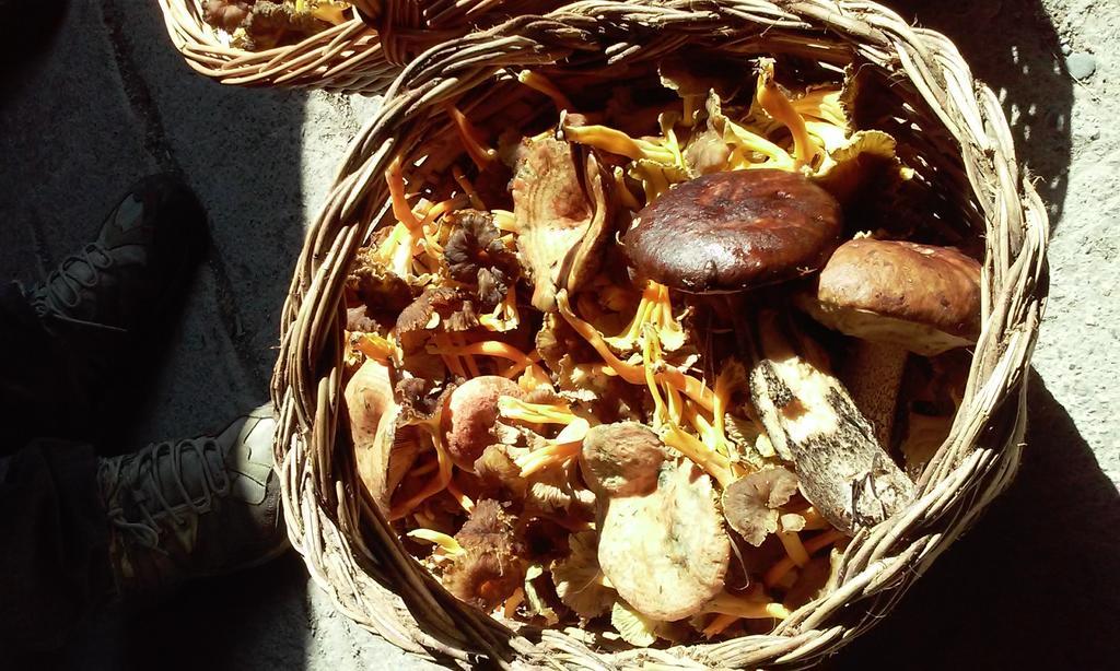 El Prau De Vidal I Διαμέρισμα La Puebla de Roda Εξωτερικό φωτογραφία